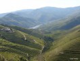 /album/galeria-de-fotos-/tr%c3%a3-s-os-montes-e-alto-douro-3-132-jpg/